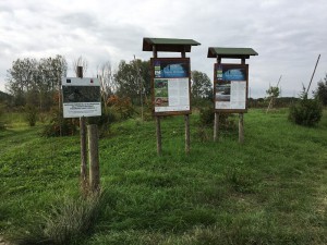 Lago Sibolla n68 - 6 ottobre 2017_edited  